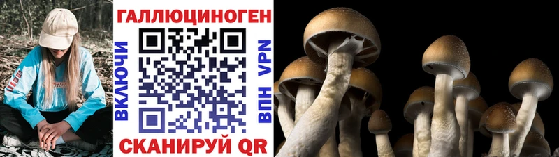 хочу Кизел ссылка на мегу маркетплейс Галлюциногенные грибы мицелий